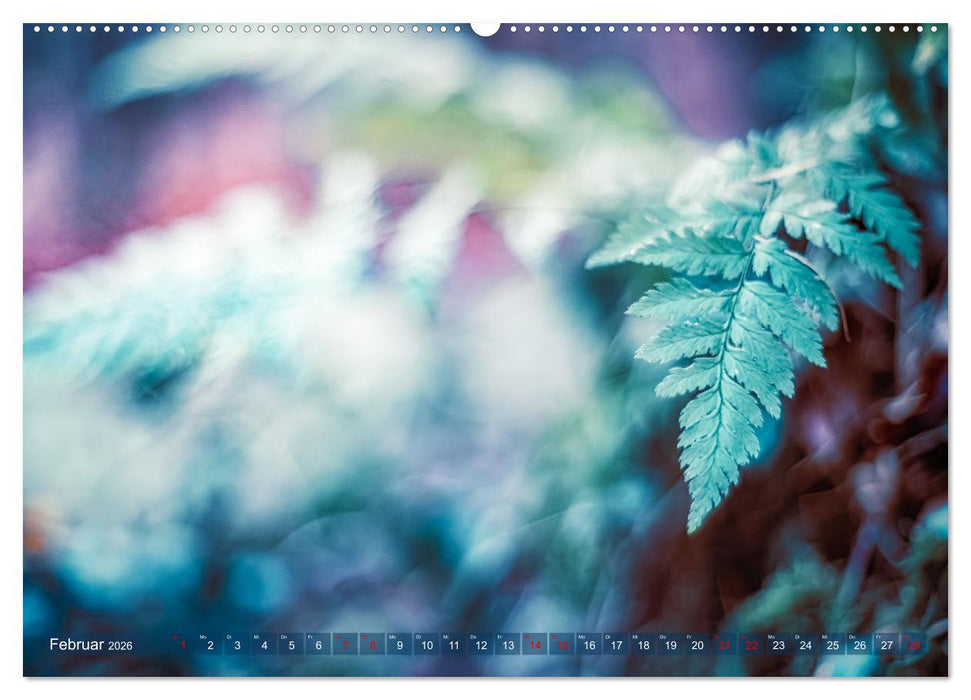 Farne vom Licht umtanzt (CALVENDO Premium Wandkalender 2026)