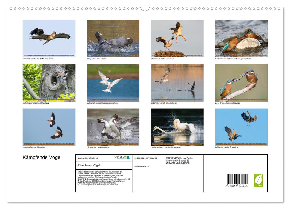 Kämpfende Vögel (CALVENDO Premium Wandkalender 2026)
