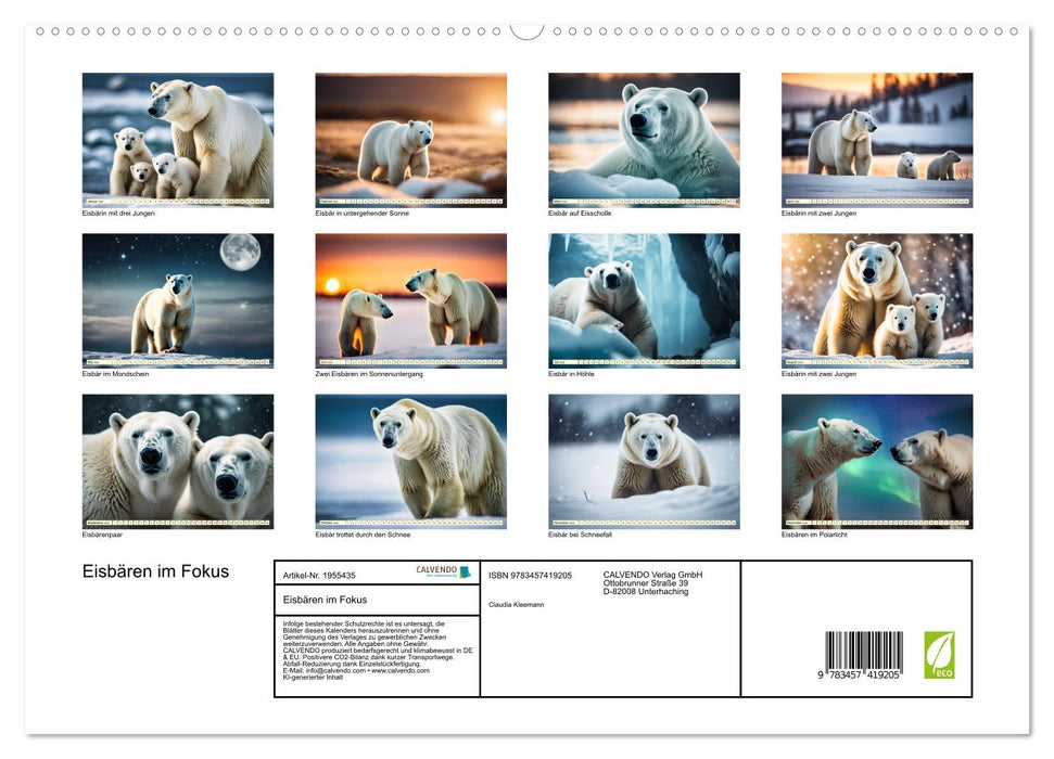 Eisbären im Fokus (CALVENDO Premium Wandkalender 2026)