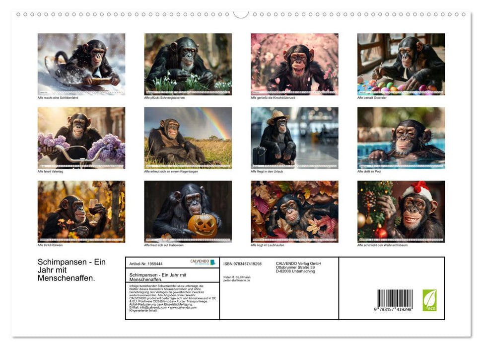 Schimpansen - Ein Jahr mit Menschenaffen. (CALVENDO Premium Wandkalender 2026)