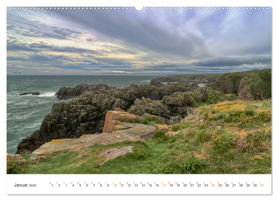 Typisch Schottland (CALVENDO Premium Wandkalender 2026)