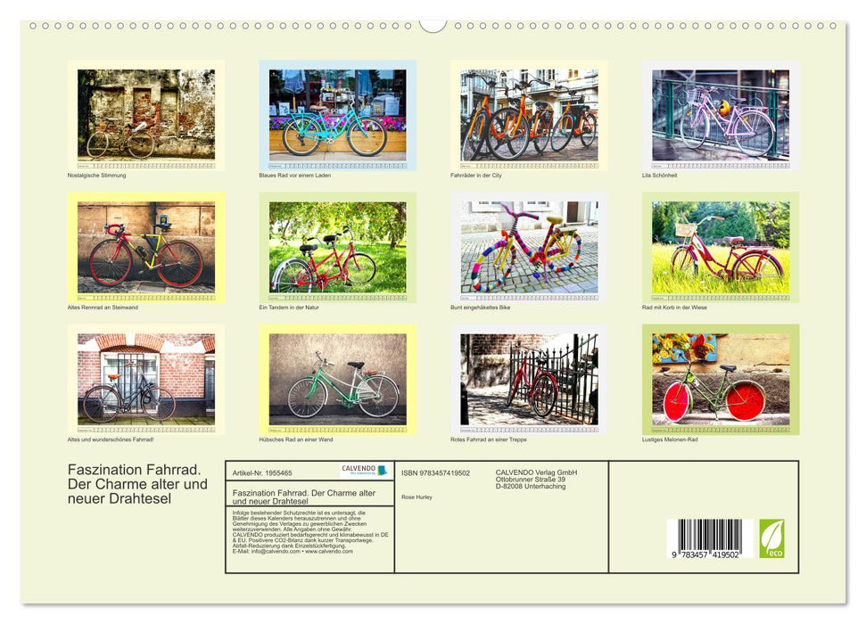Faszination Fahrrad. Der Charme alter und neuer Drahtesel (CALVENDO Premium Wandkalender 2026)