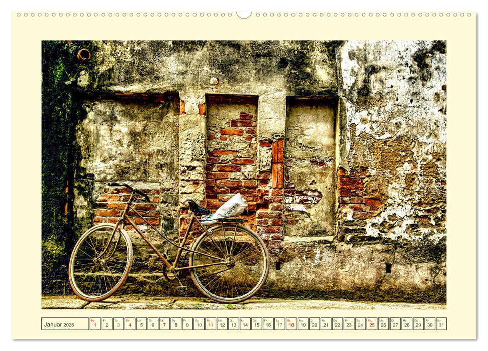 Faszination Fahrrad. Der Charme alter und neuer Drahtesel (CALVENDO Premium Wandkalender 2026)