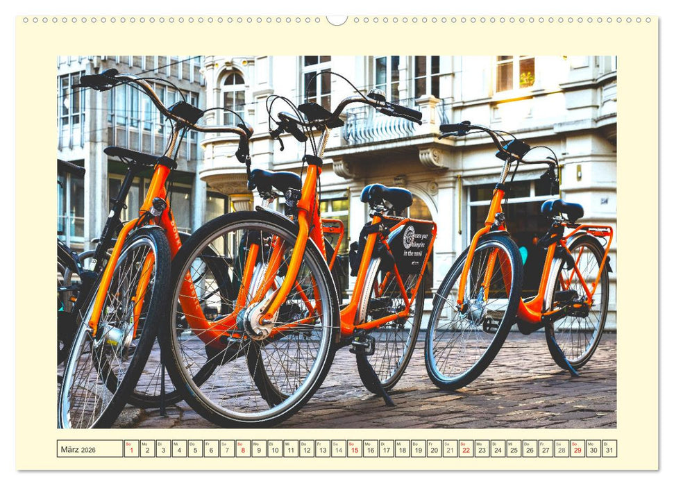 Faszination Fahrrad. Der Charme alter und neuer Drahtesel (CALVENDO Premium Wandkalender 2026)