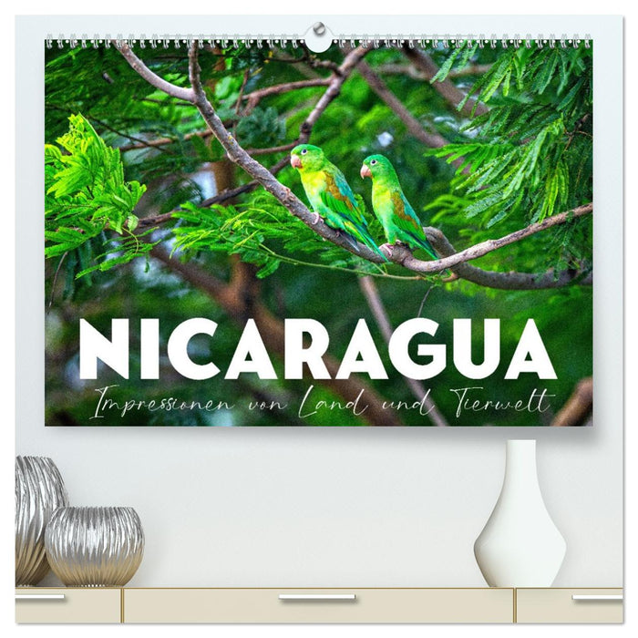 Nicaragua - Impressionen von Land und Tierwelt. (CALVENDO Premium Wandkalender 2026)