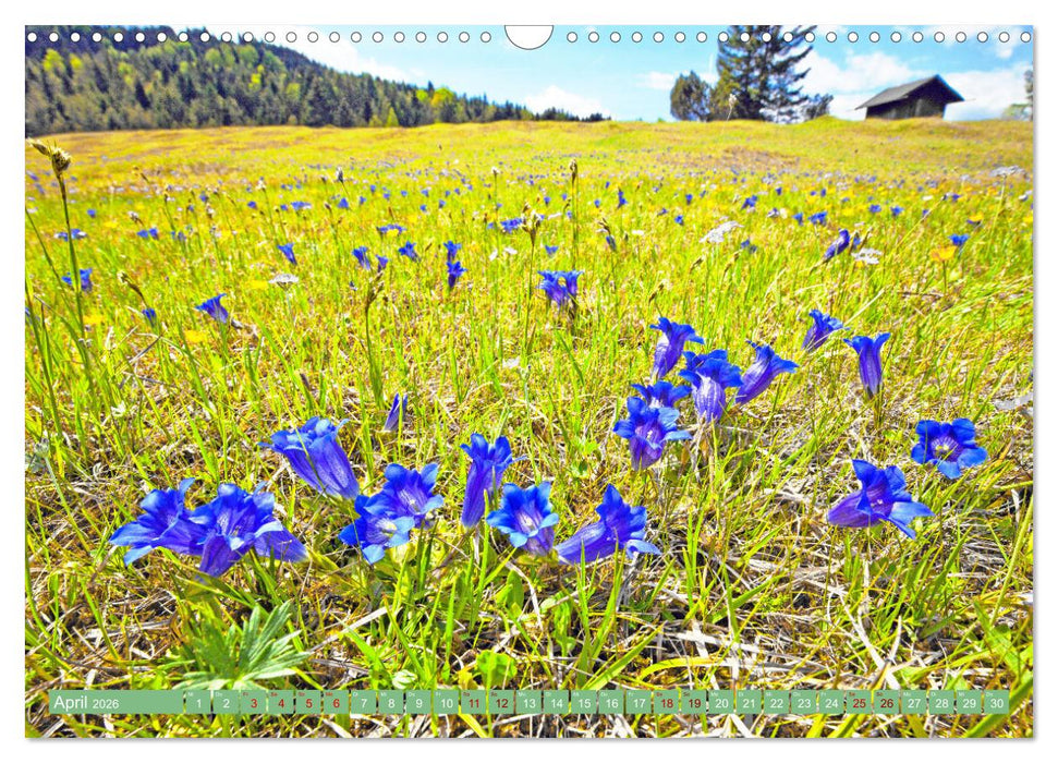 Rund um Mittenwald (CALVENDO Wandkalender 2026)