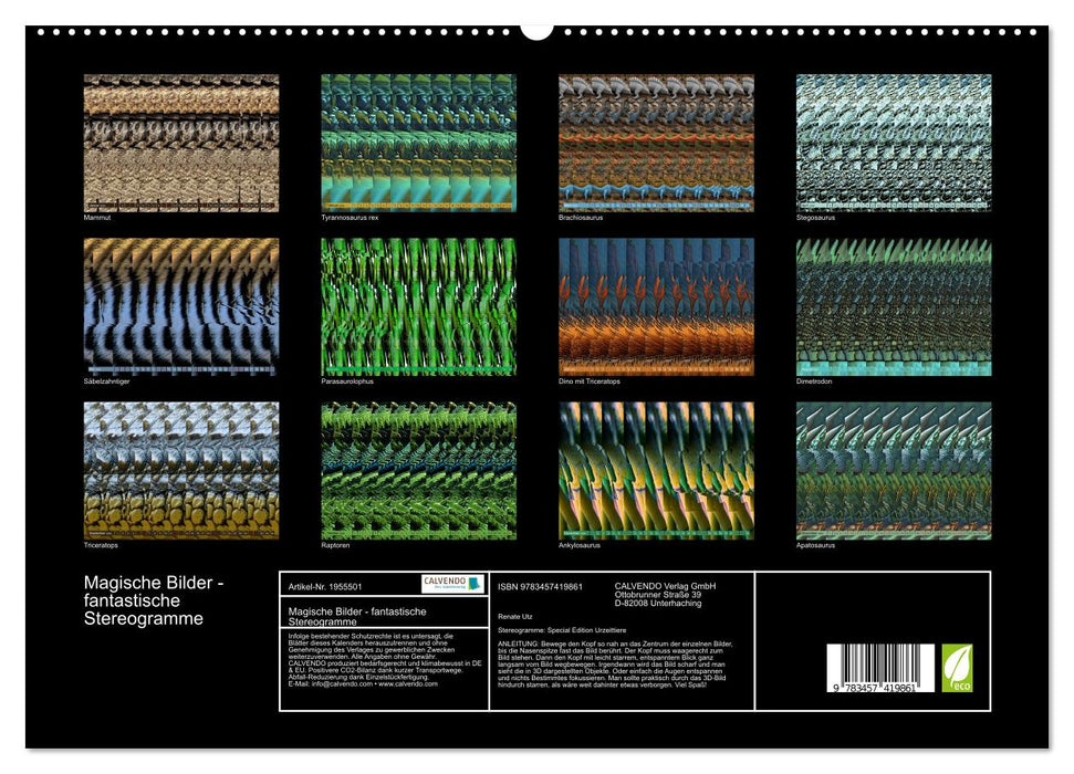 Magische Bilder - fantastische Stereogramme (CALVENDO Premium Wandkalender 2026)