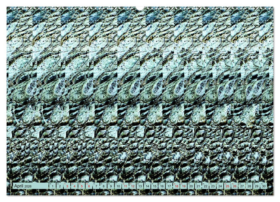 Magische Bilder - fantastische Stereogramme (CALVENDO Premium Wandkalender 2026)