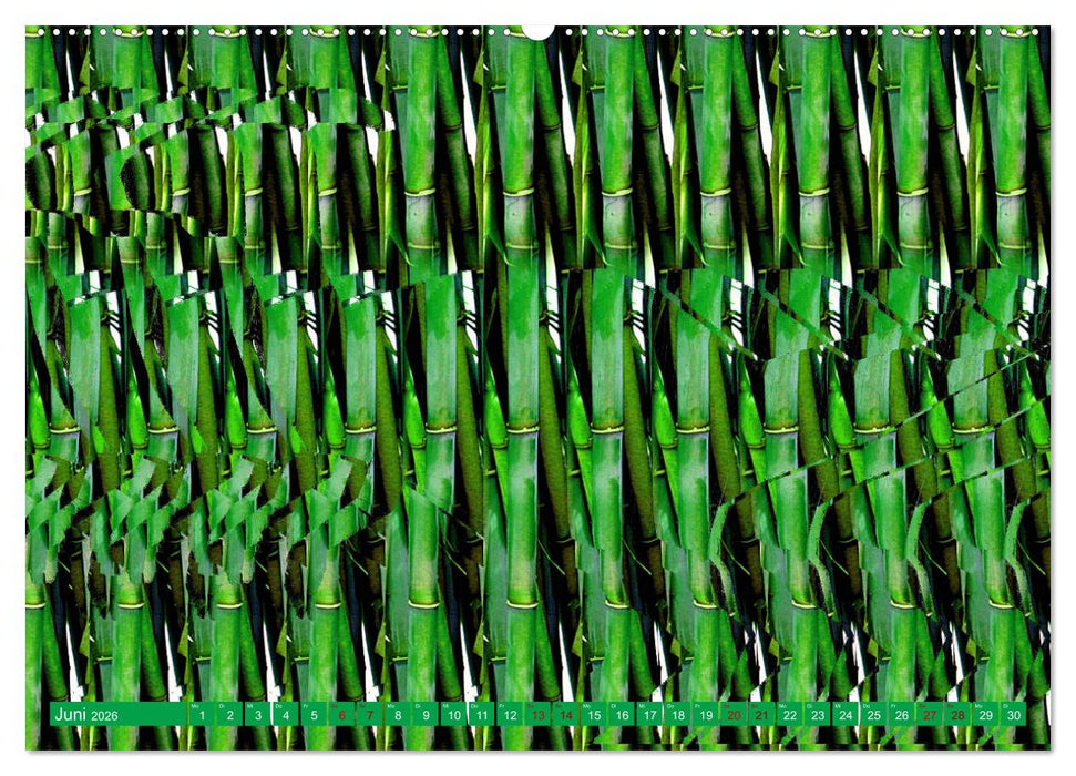 Magische Bilder - fantastische Stereogramme (CALVENDO Premium Wandkalender 2026)