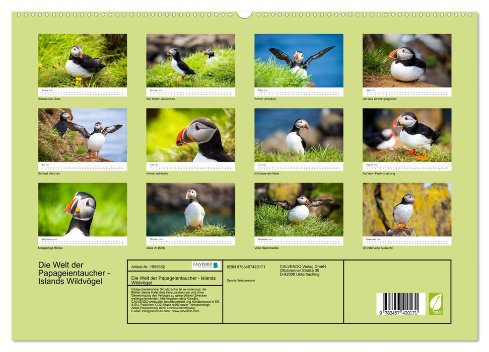Die Welt der Papageientaucher - Islands Wildvögel (CALVENDO Premium Wandkalender 2026)