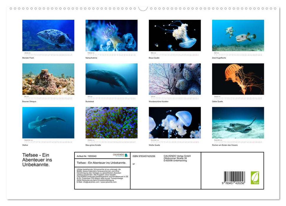 Tiefsee - Ein Abenteuer ins Unbekannte. (CALVENDO Premium Wandkalender 2026)