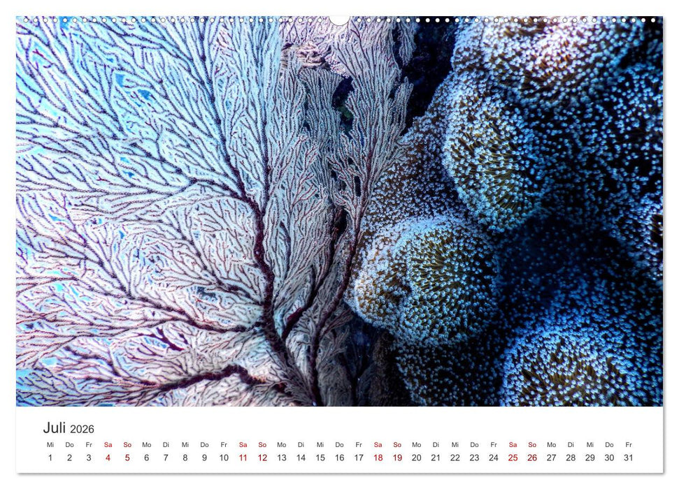 Tiefsee - Ein Abenteuer ins Unbekannte. (CALVENDO Premium Wandkalender 2026)