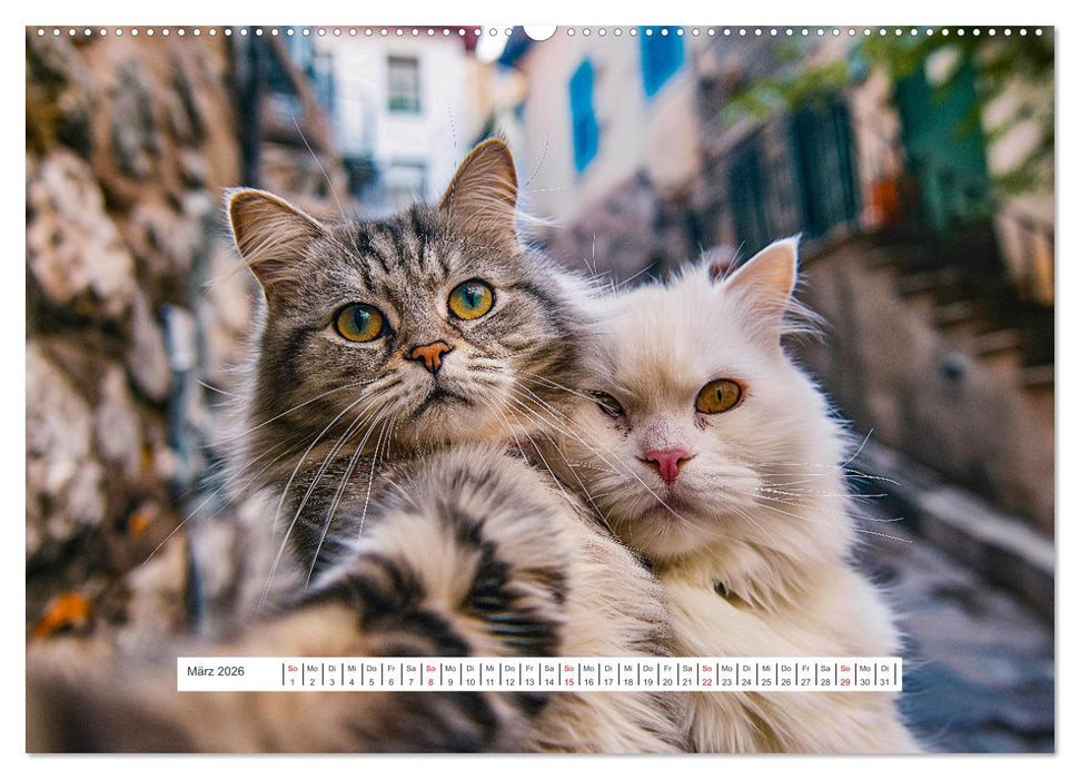 Tier Selfies (CALVENDO Wandkalender 2026)