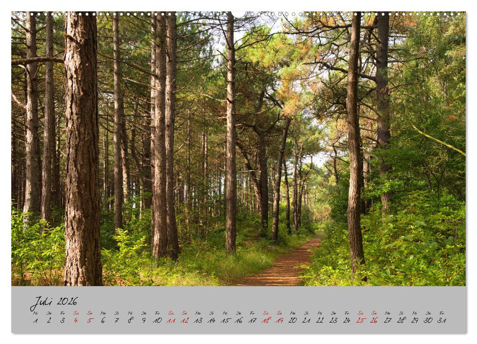 Streifzug durch Nordholland (CALVENDO Premium Wandkalender 2026)