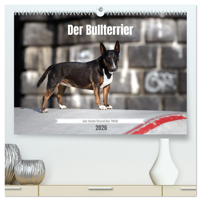 Der Bullterrier der beste Hund der Welt (CALVENDO Premium Wandkalender 2026)