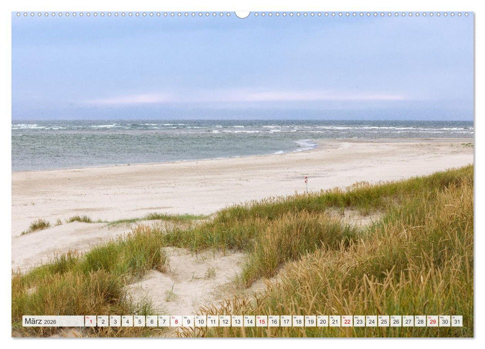 Blåvand - Dänemarks Paradies am Nordseestrand (CALVENDO Premium Wandkalender 2026)