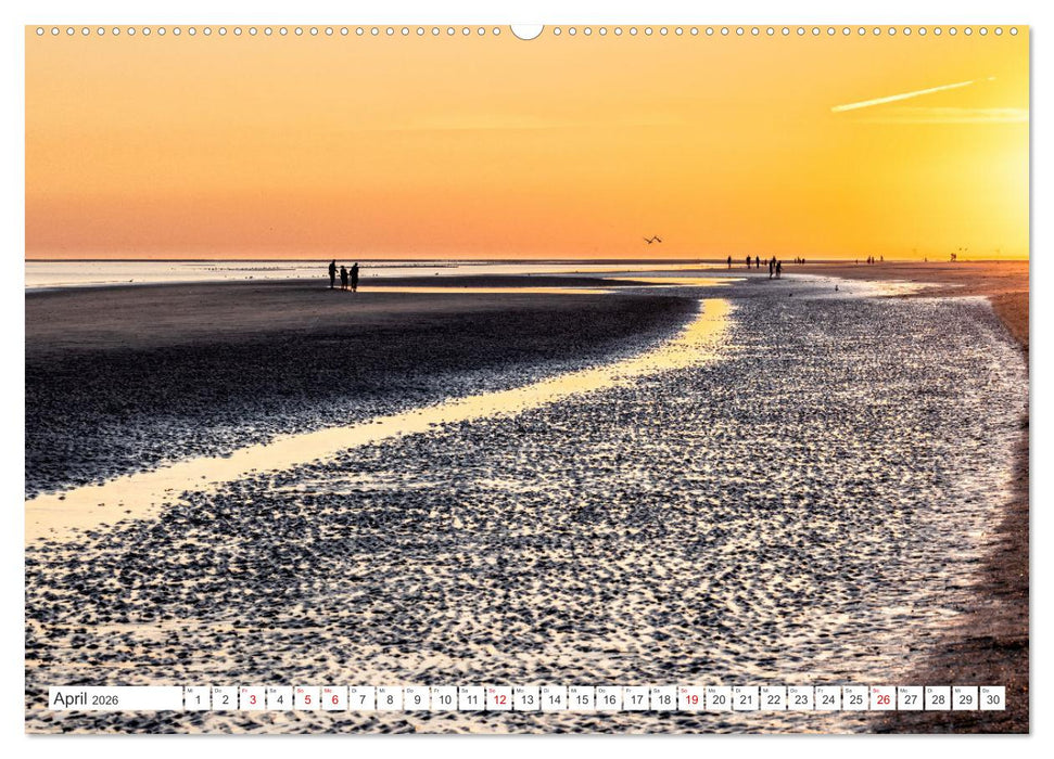 Blåvand - Dänemarks Paradies am Nordseestrand (CALVENDO Premium Wandkalender 2026)