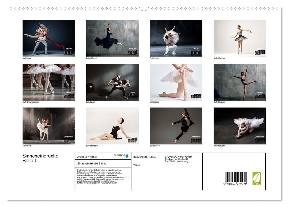 Sinneseindrücke Ballett (CALVENDO Premium Wandkalender 2026)