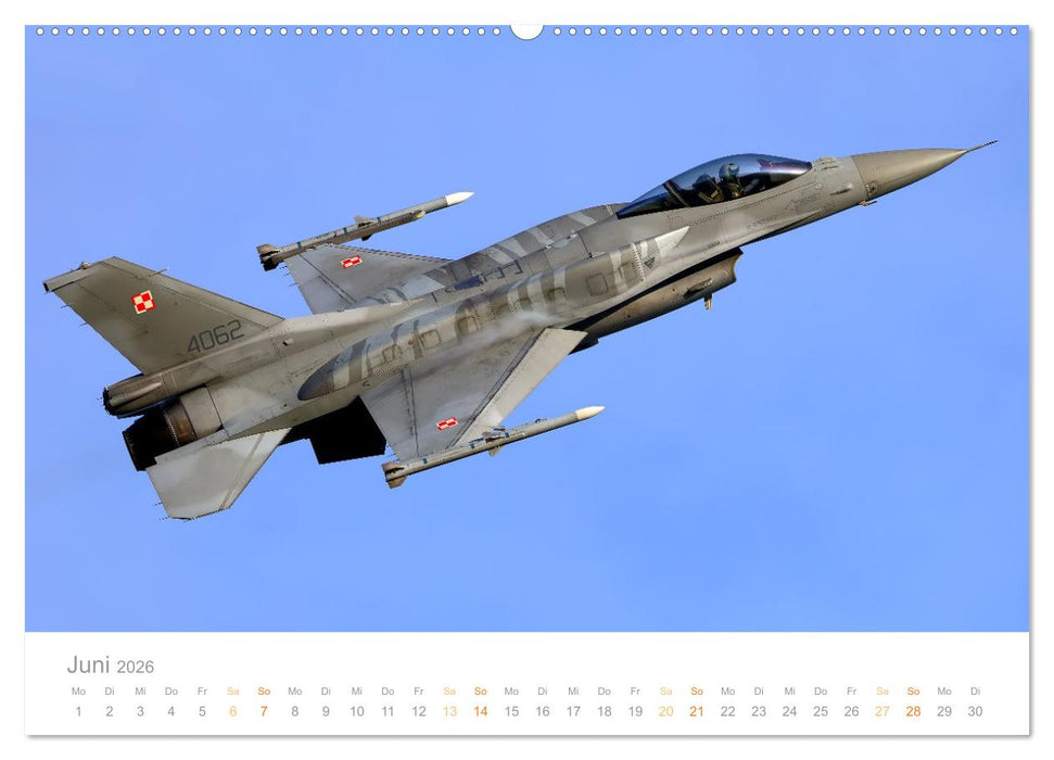 VIPER ACTION - F-16 FIGHTING FALCON (CALVENDO Premium Wandkalender 2026)