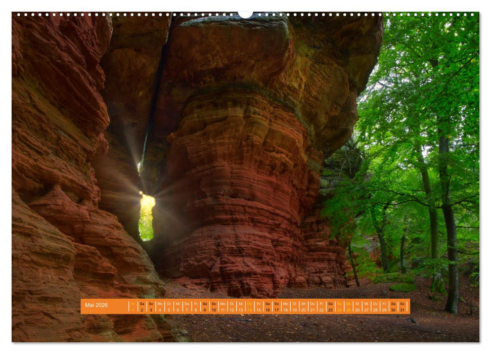 Magischer Pfälzer Wald (CALVENDO Premium Wandkalender 2026)
