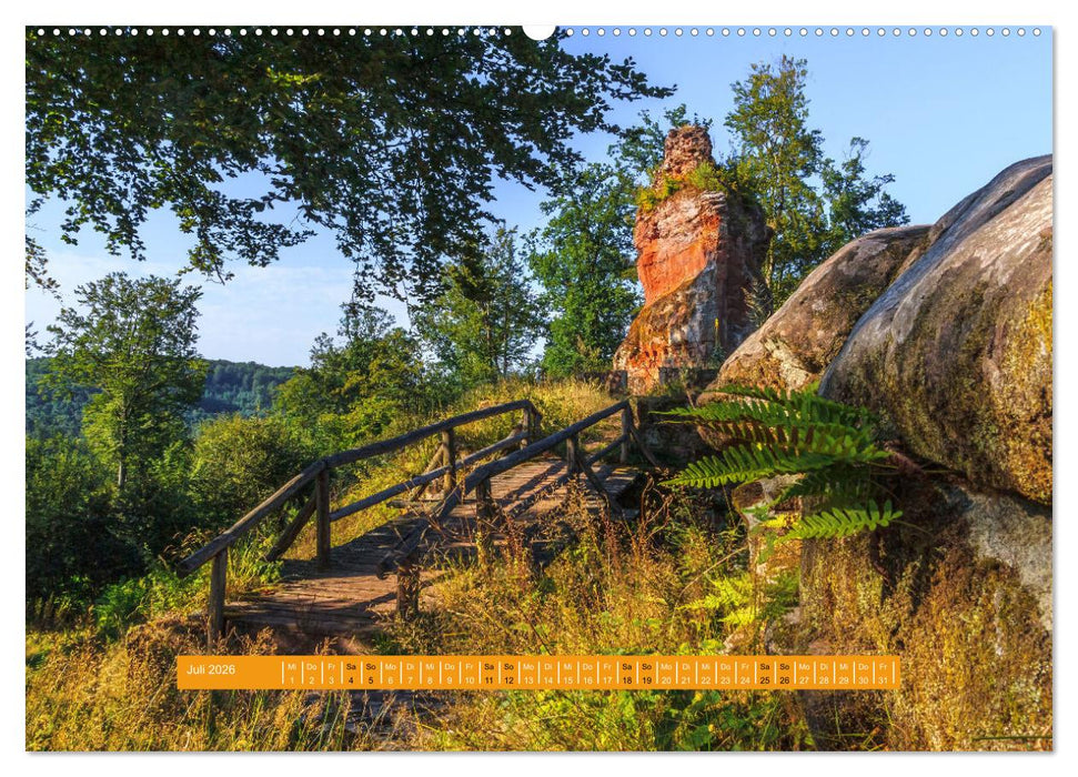 Magischer Pfälzer Wald (CALVENDO Premium Wandkalender 2026)