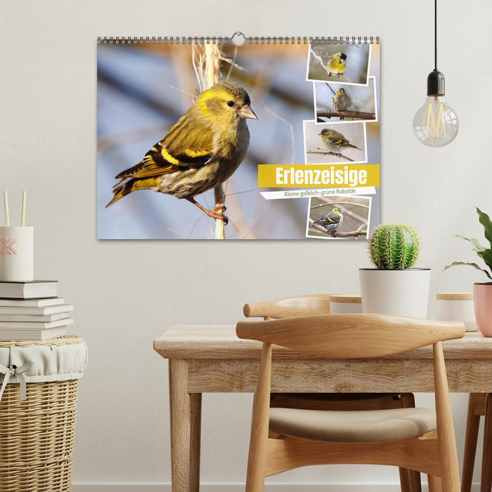 Erlenzeisige (CALVENDO Wandkalender 2026)