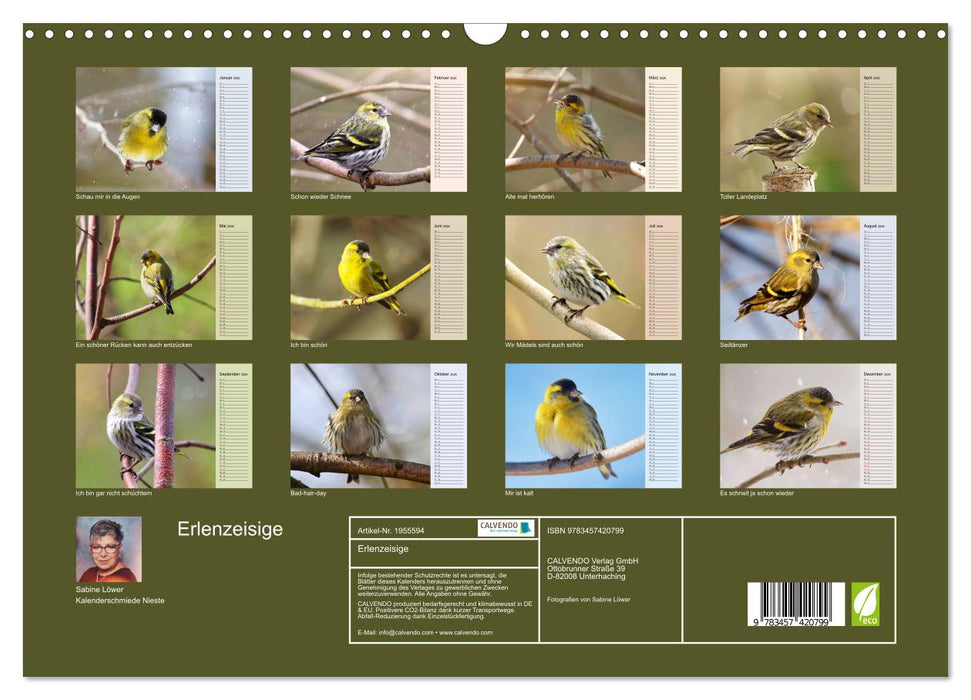 Erlenzeisige (CALVENDO Wandkalender 2026)