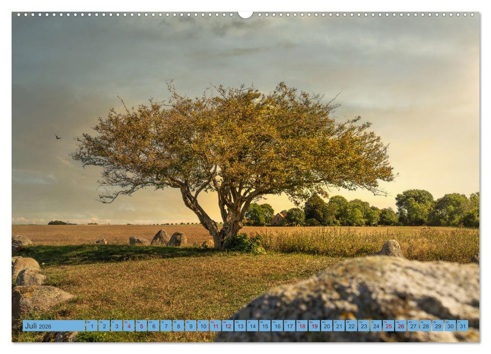 Sehnsucht Rügen (CALVENDO Premium Wandkalender 2026)