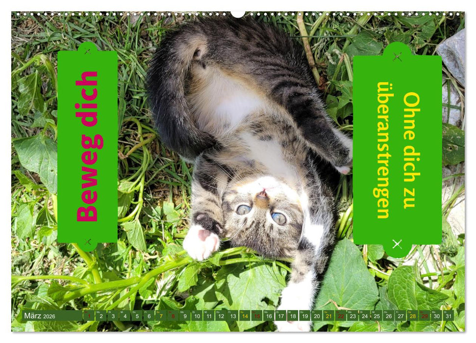 Fit durch den Alltag - stärke deine Abwehrkräfte (CALVENDO Premium Wandkalender 2026)