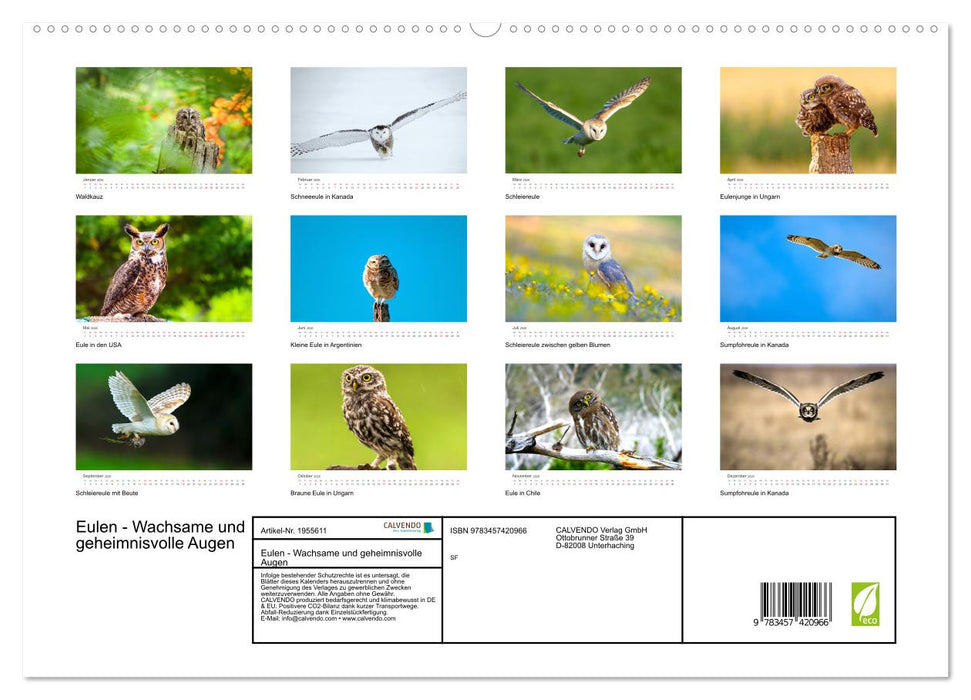 Eulen - Wachsame und geheimnisvolle Augen (CALVENDO Premium Wandkalender 2026)