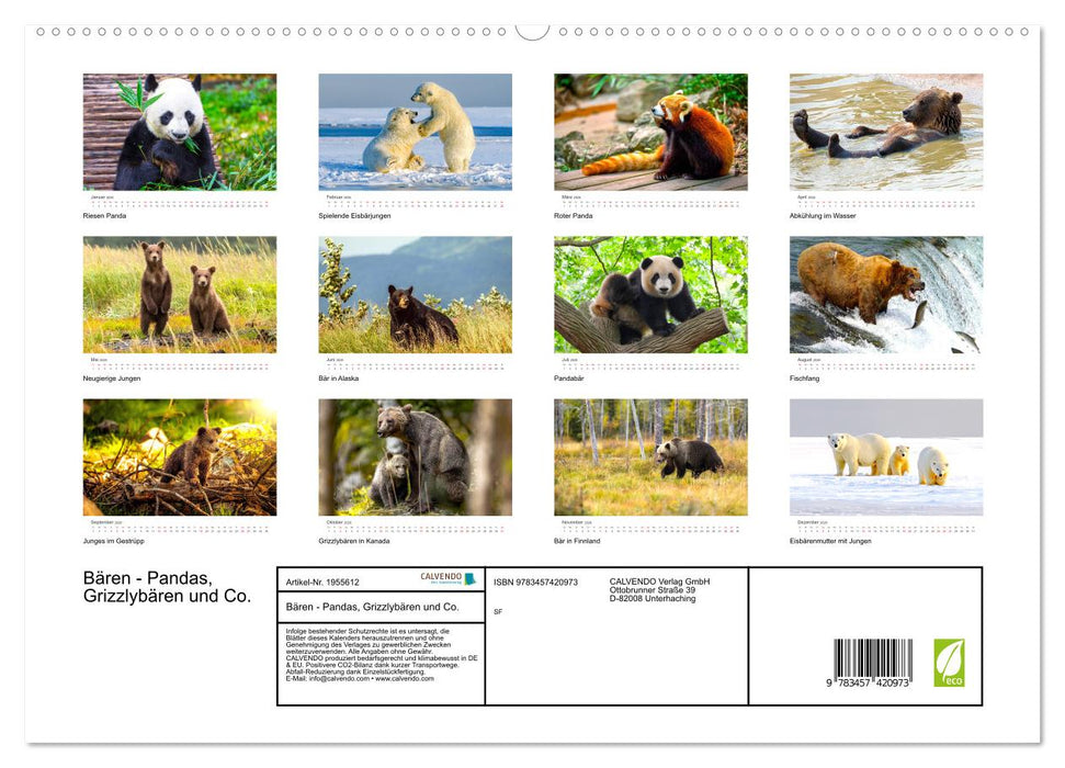 Bären - Pandas, Grizzlybären und Co. (CALVENDO Premium Wandkalender 2026)