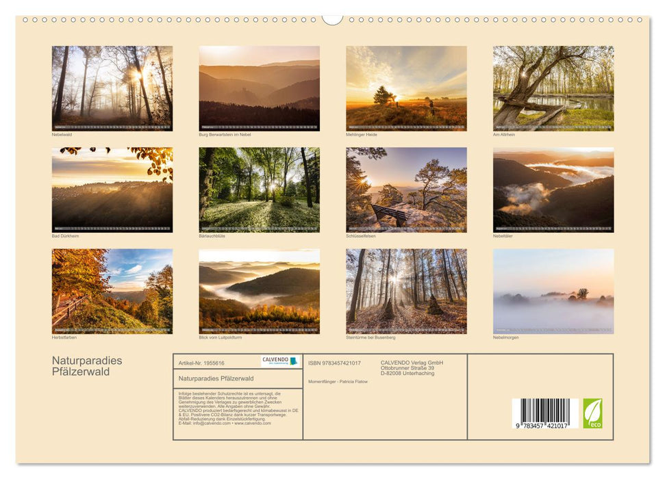 Naturparadies Pfälzerwald (CALVENDO Premium Wandkalender 2026)