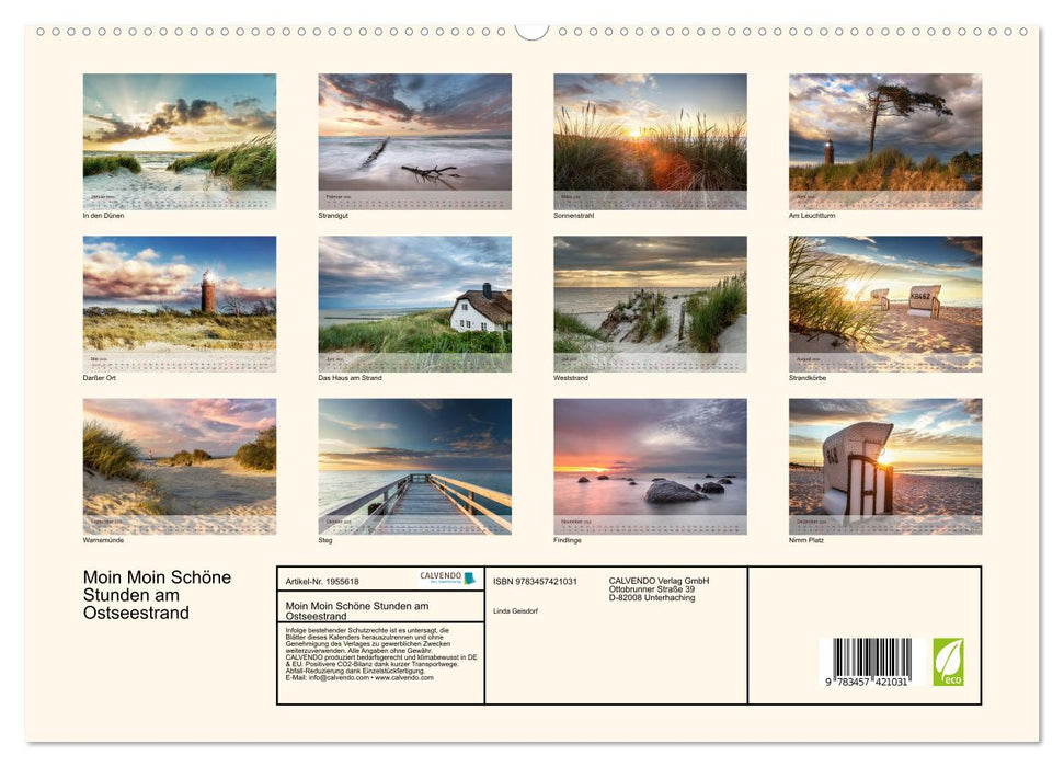 Moin Moin Schöne Stunden am Ostseestrand (CALVENDO Premium Wandkalender 2026)