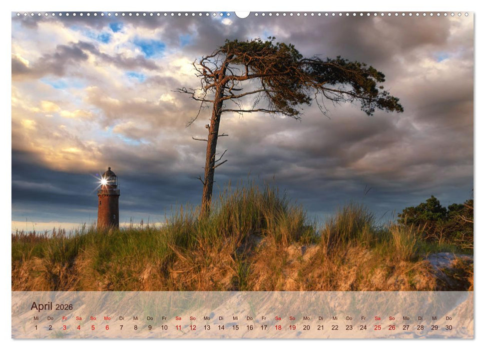Moin Moin Schöne Stunden am Ostseestrand (CALVENDO Premium Wandkalender 2026)