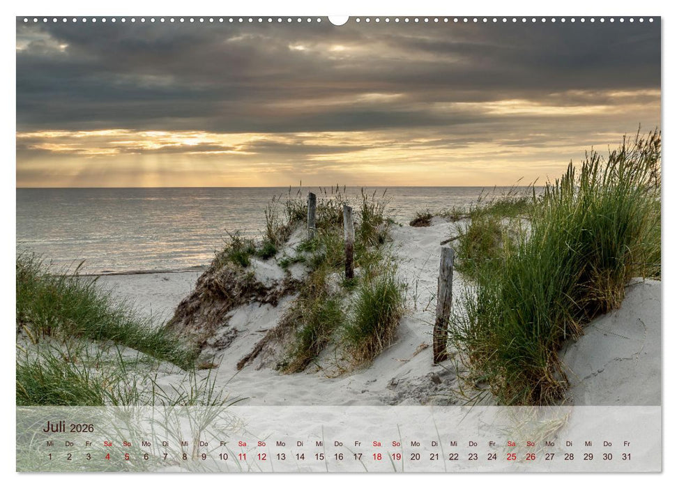 Moin Moin Schöne Stunden am Ostseestrand (CALVENDO Premium Wandkalender 2026)