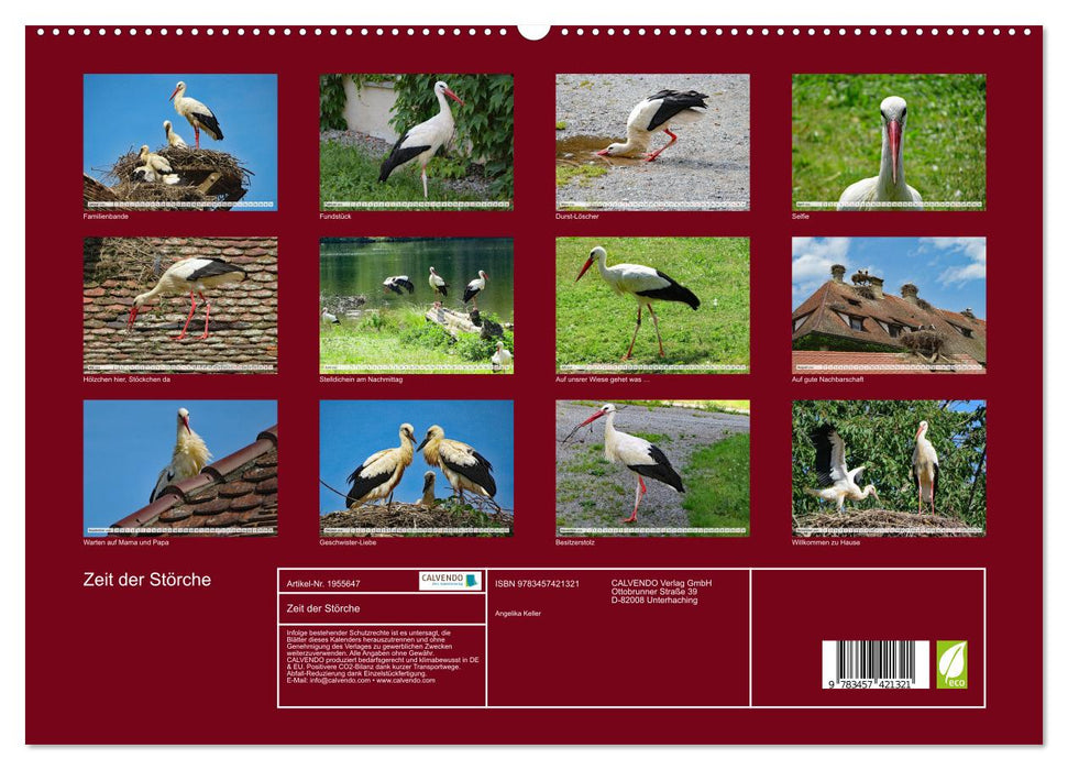 Zeit der Störche (CALVENDO Premium Wandkalender 2026)