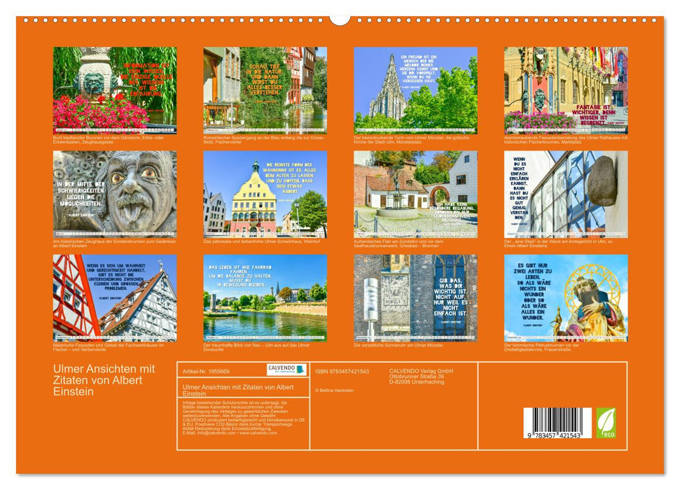 Ulmer Ansichten mit Zitaten von Albert Einstein (CALVENDO Premium Wandkalender 2026)
