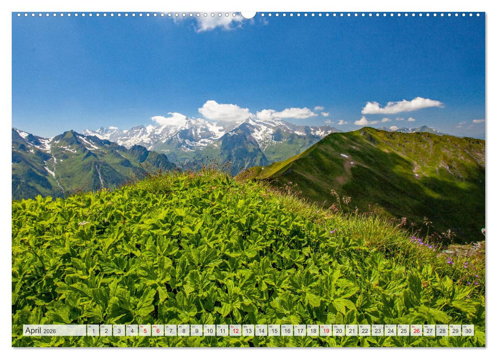 Schöne Grüße aus Taxenbach (CALVENDO Premium Wandkalender 2026)