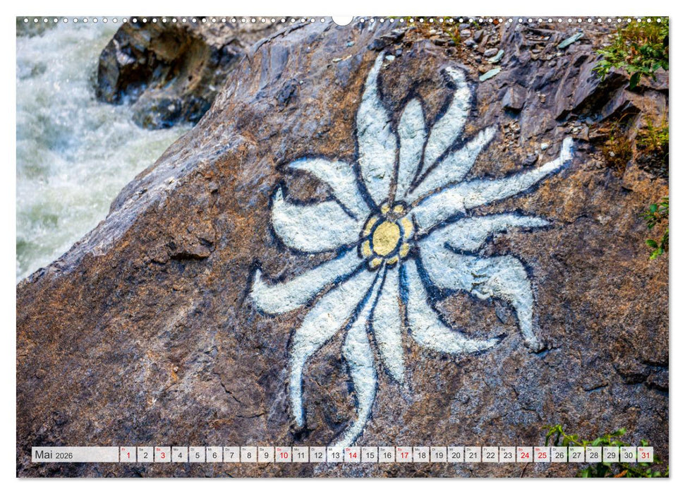 Schöne Grüße aus Taxenbach (CALVENDO Premium Wandkalender 2026)