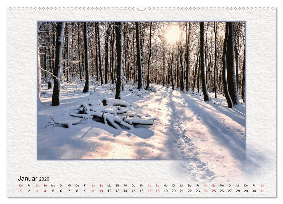 Landschaft, die aus dem Rahmen fällt (CALVENDO Premium Wandkalender 2026)