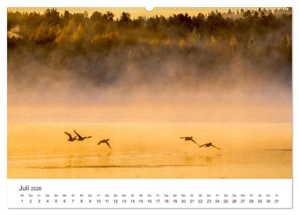 Mystische Nebellandschaften (CALVENDO Premium Wandkalender 2026)