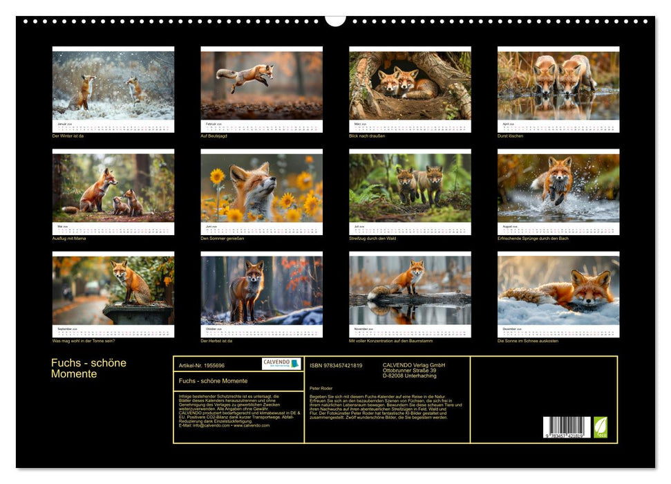 Fuchs - schöne Momente (CALVENDO Wandkalender 2026)