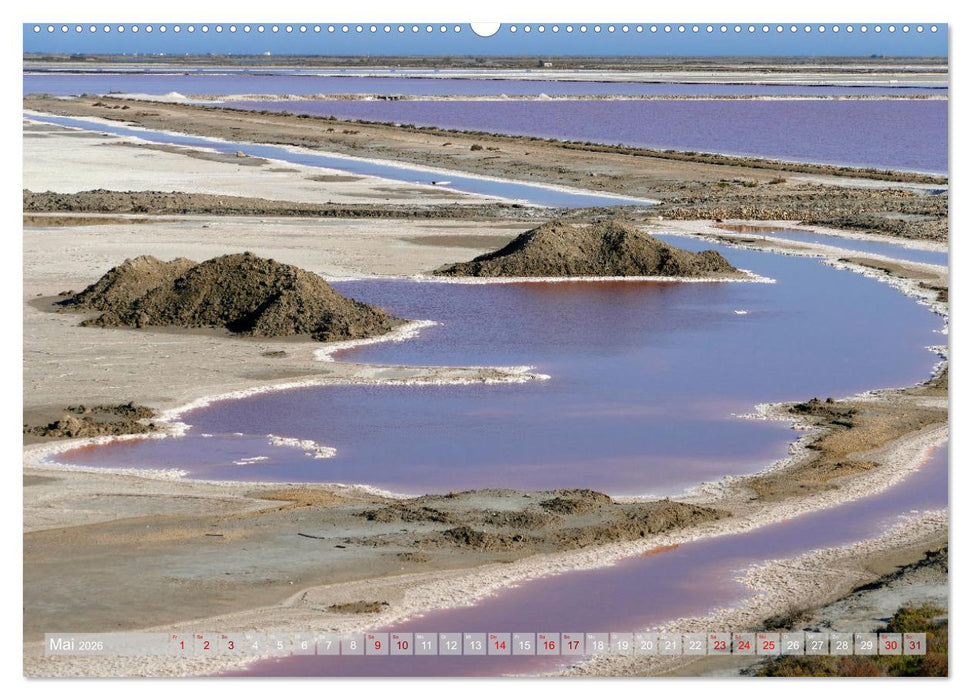 Provence mit allen Sinnen (CALVENDO Premium Wandkalender 2026)