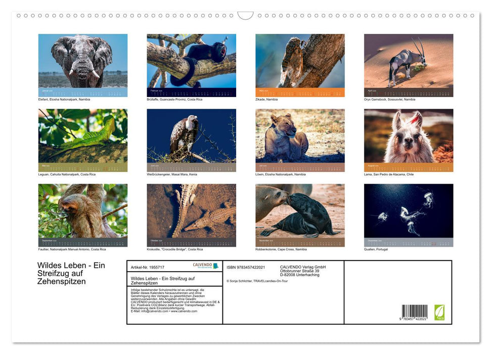Wildes Leben - Ein Streifzug auf Zehenspitzen (CALVENDO Wandkalender 2026)