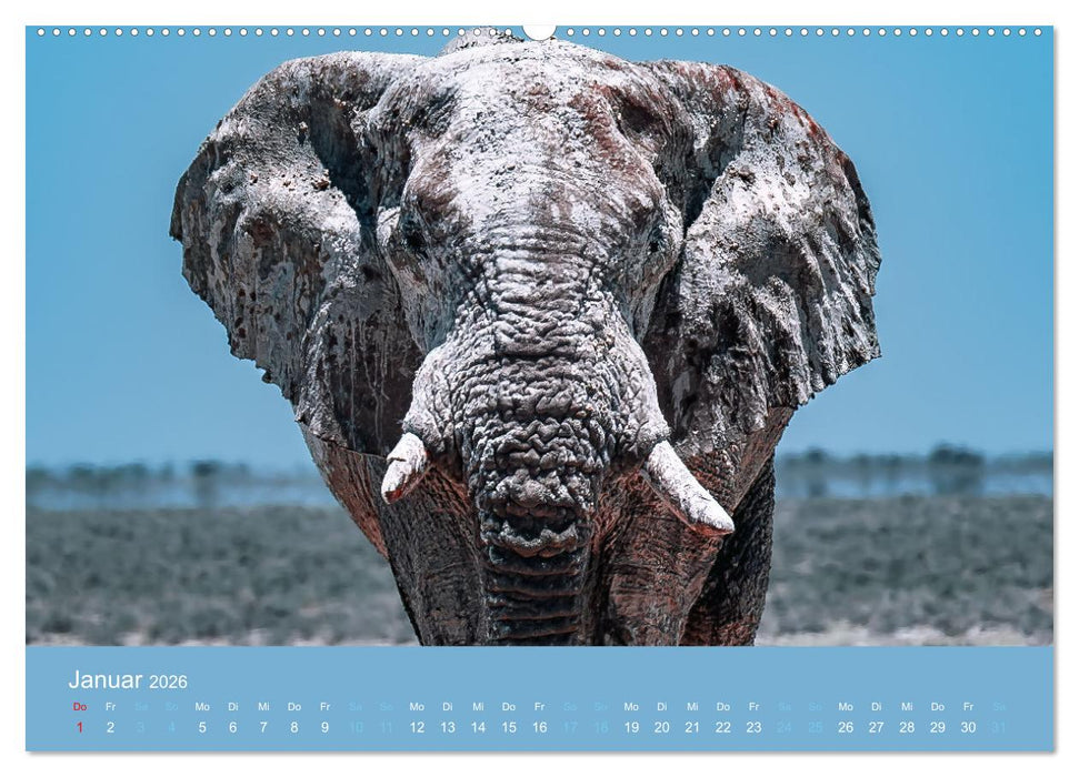 Wildes Leben - Ein Streifzug auf Zehenspitzen (CALVENDO Wandkalender 2026)