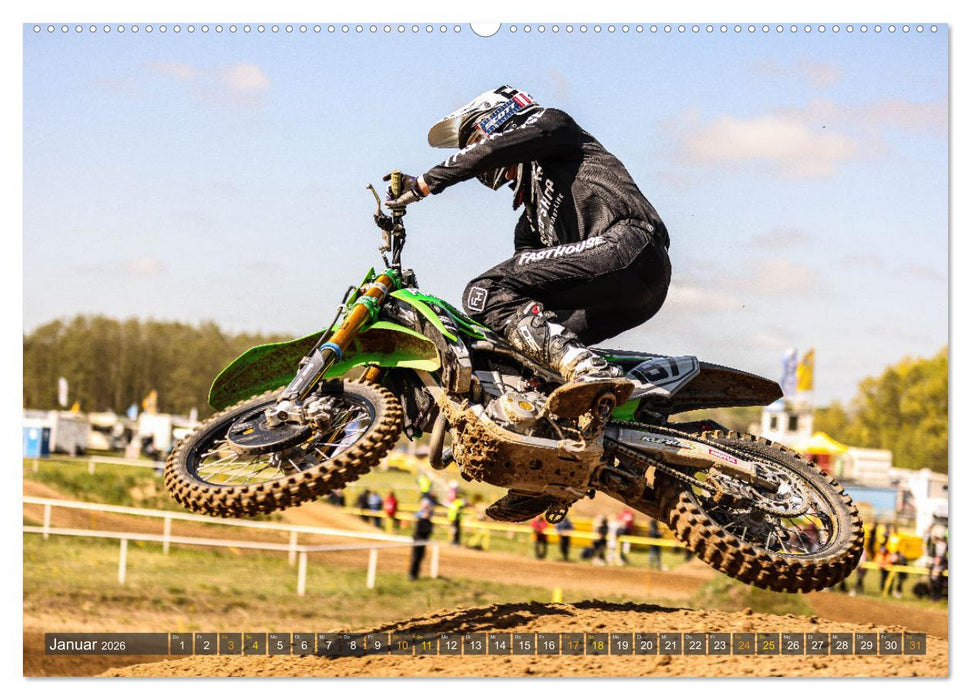 whip`s and scrub`s 2026 (CALVENDO Premium Wandkalender 2026)