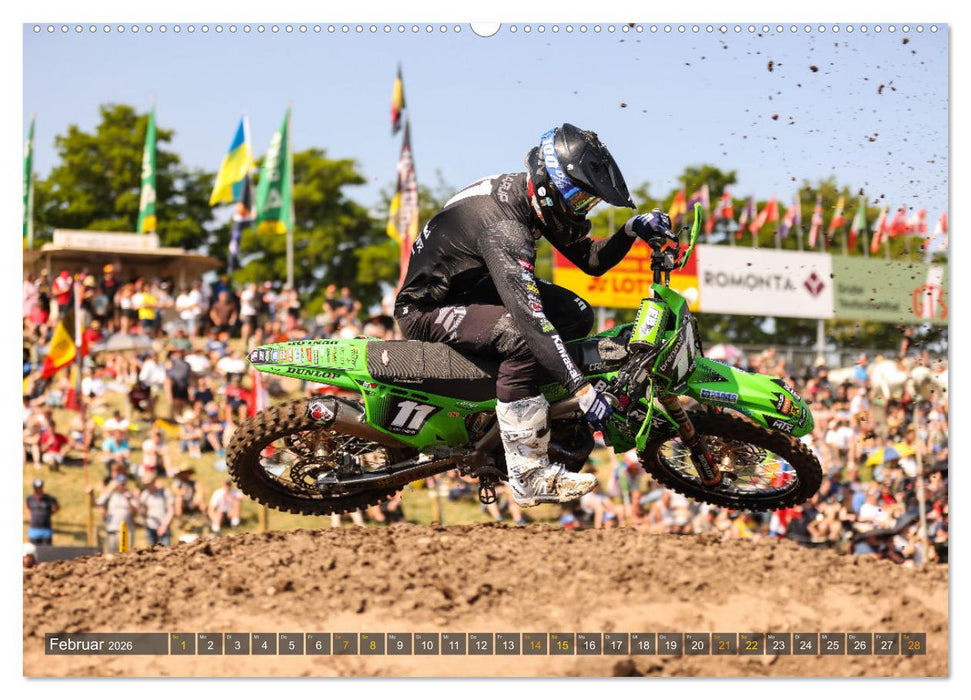 whip`s and scrub`s 2026 (CALVENDO Premium Wandkalender 2026)