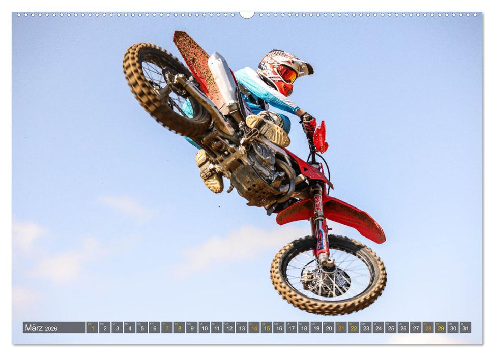 whip`s and scrub`s 2026 (CALVENDO Premium Wandkalender 2026)