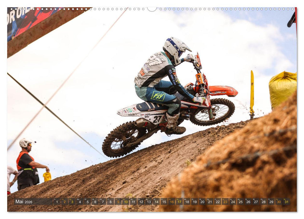 whip`s and scrub`s 2026 (CALVENDO Premium Wandkalender 2026)