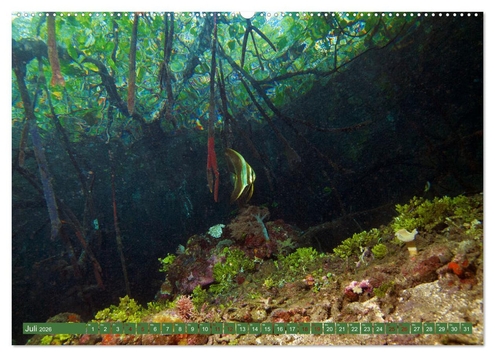 Mangroven - Natürlicher Küstenschutz (CALVENDO Premium Wandkalender 2026)